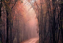 本赛季至今英超身价下跌榜前十：帕奎塔居首，曼城人上榜.