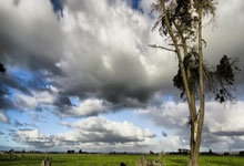 虽3比0轻取对手 巴塞后卫孔德炮轰补赛安排不合理.