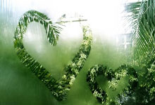 鲸鱼体育：广东队三外援同时受伤，莫兰德被队友肘击误伤，杜锋无奈.