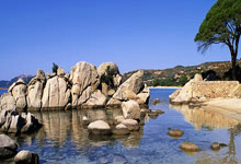 15连胜！换帅之后保持不败：辽宁队最大争冠对手浮出水面弗里克：奥尔莫当然准备好了；希望阿劳霍在我队内.